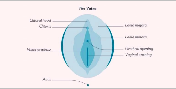 5 alerting signs indicating you must look at Intimate Hygiene