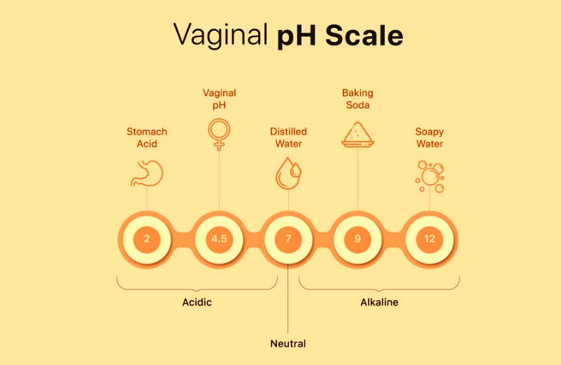 Vaginal pH & How to check it at Home: Myths, Facts & Tips for Natural Balance